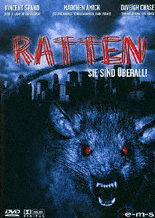 Ratten - Sie sind &uuml;berall